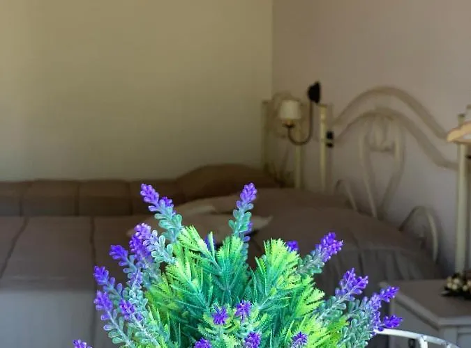 לינה וארוחת בוקר Barsentello